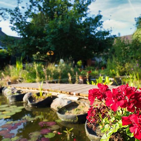 Gasthaus Benke, Fachwerkhaus In Westfalen ダッテルン エクステリア 写真