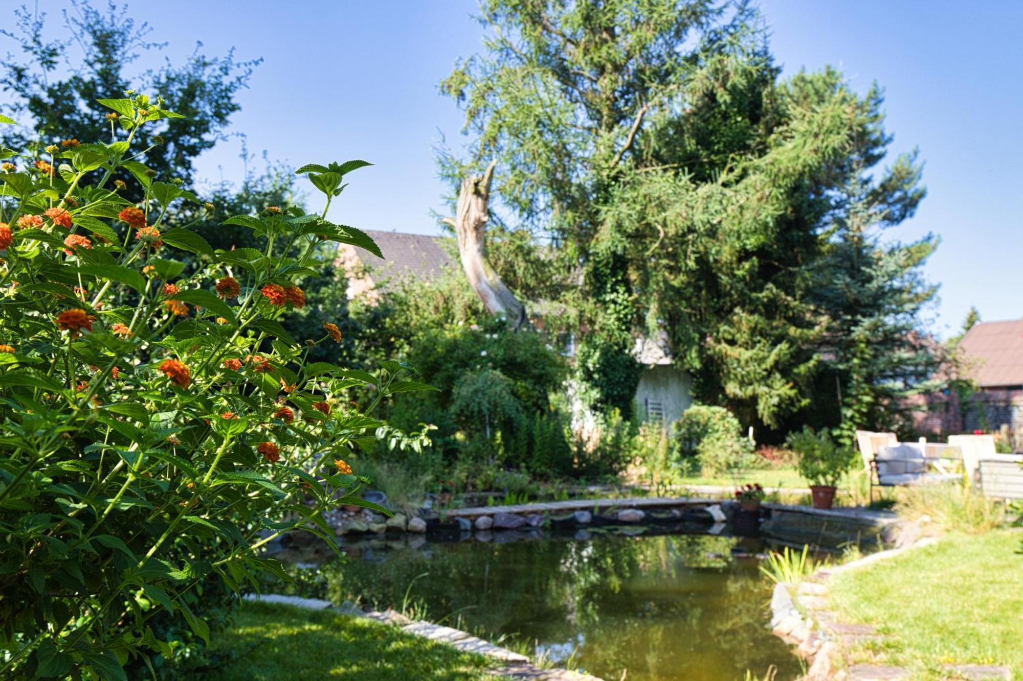 Gasthaus Benke, Fachwerkhaus In Westfalen ダッテルン エクステリア 写真