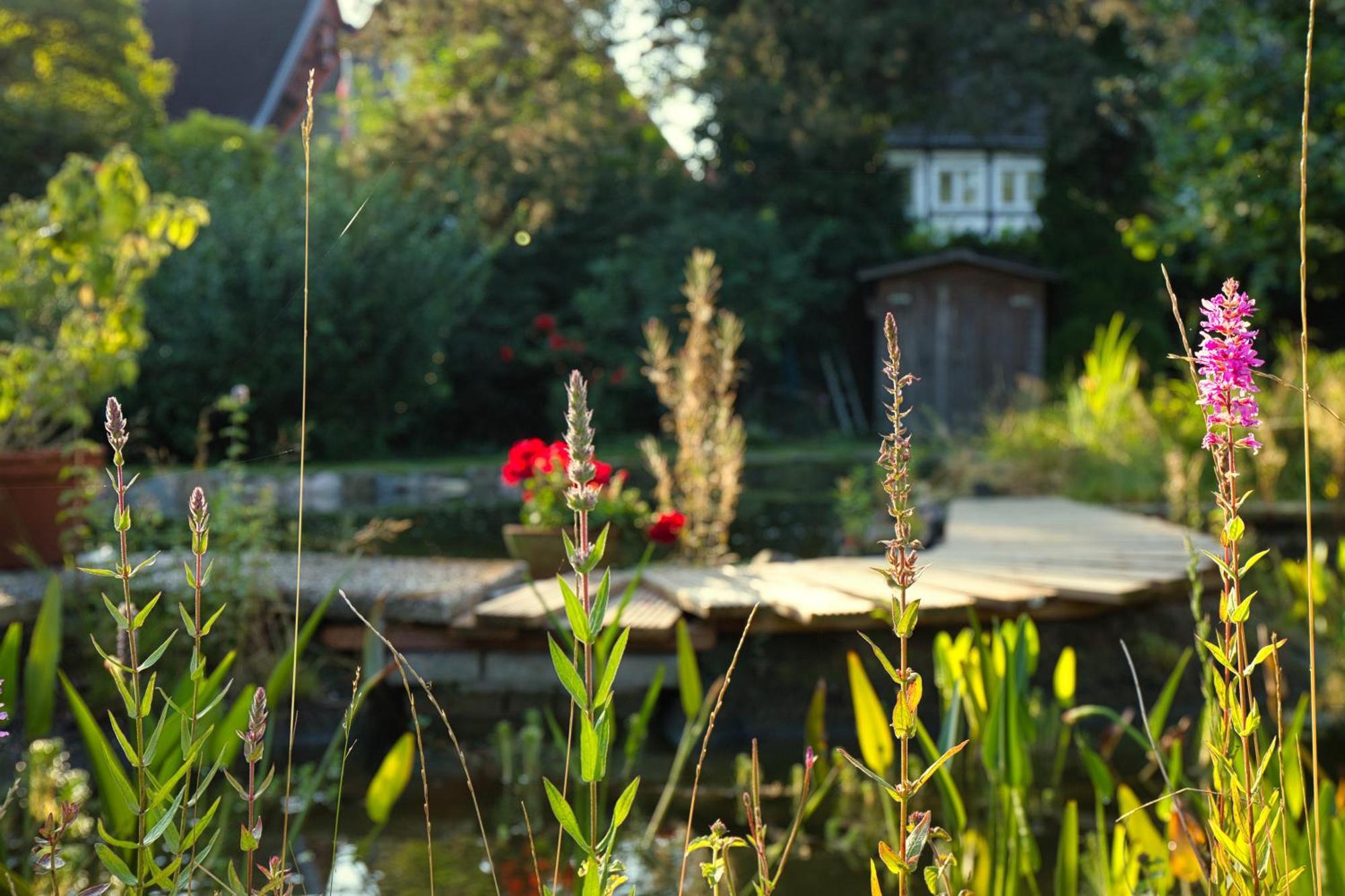 Gasthaus Benke, Fachwerkhaus In Westfalen ダッテルン エクステリア 写真