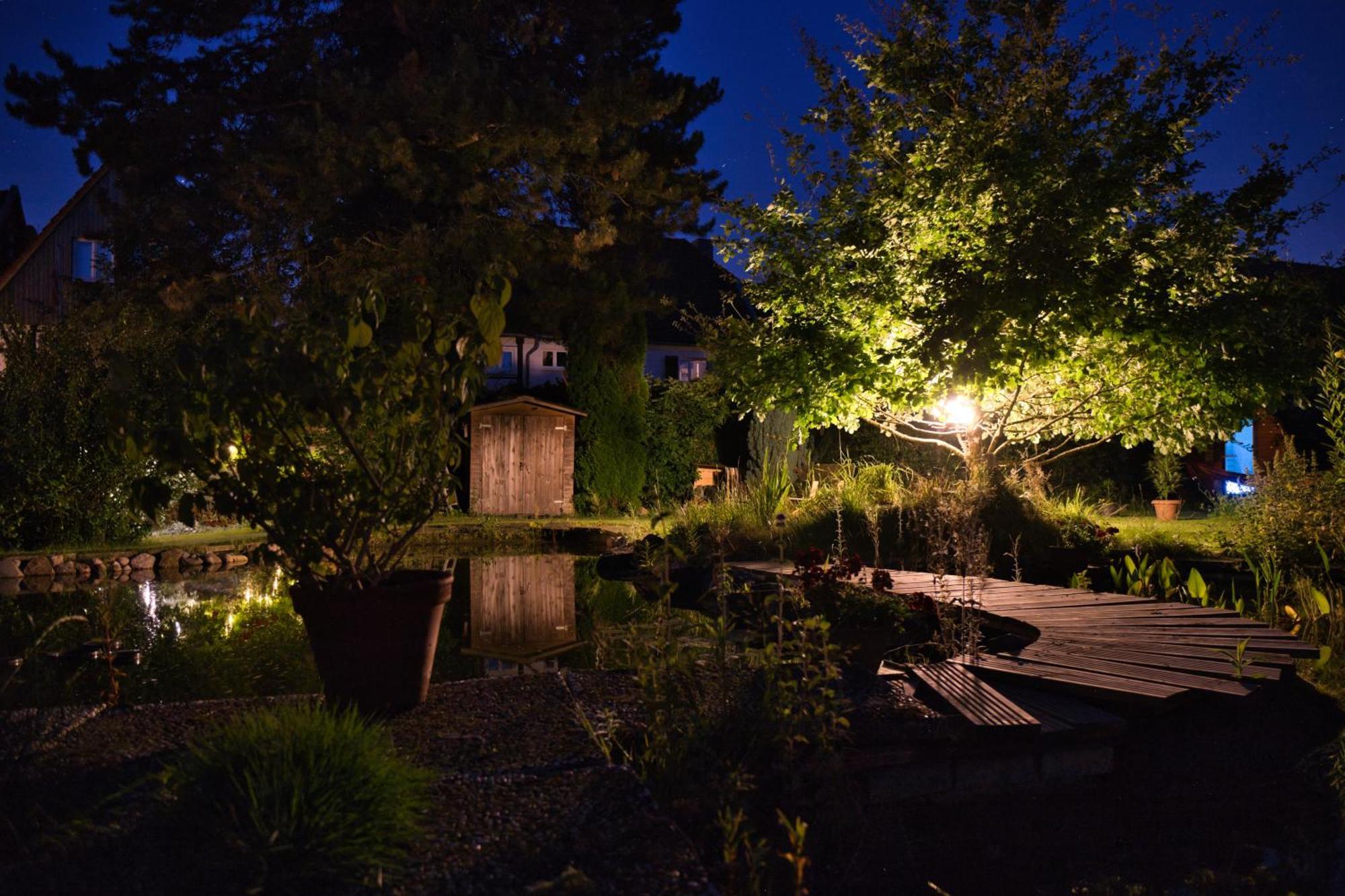 Gasthaus Benke, Fachwerkhaus In Westfalen ダッテルン エクステリア 写真